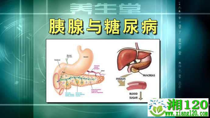 糖尿病饮食水果