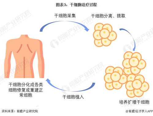 �ɻ����� �ɻ������²��˵�����