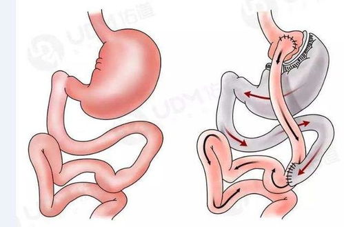 �������������˯���� ����˯��ϰ������ƽ�Ƚ���