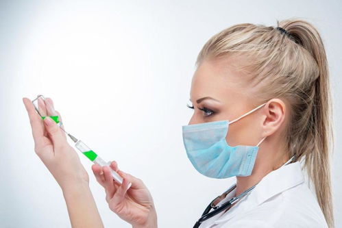 ���������ĸ���ʲô