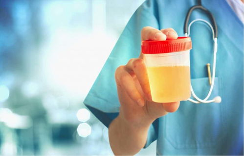 ���˶̵�ַ ���˶����ӿ�