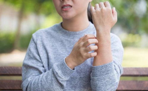 �����ⷿ �����ⷿ��