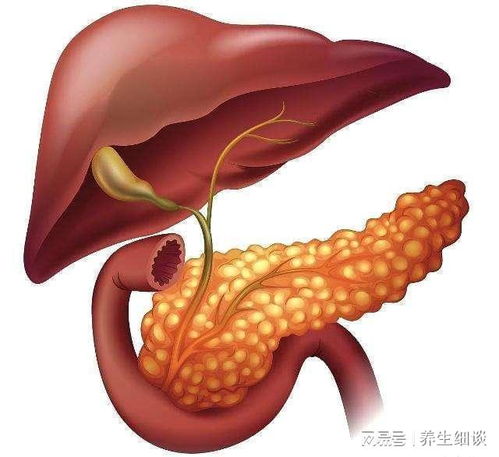 糖尿病干吃南瓜饼不干 糖尿病干吃南瓜饼不干