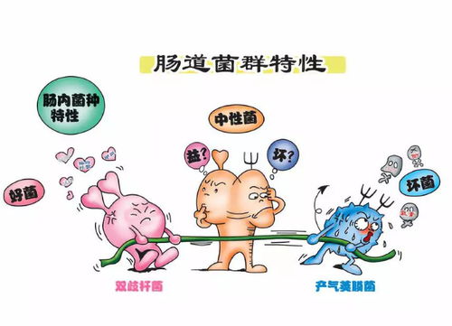 二型糖尿病的科研新成果 二型糖尿病的科研新成果