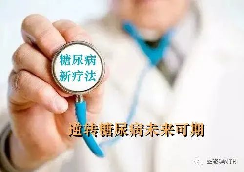 �����ǳԳ����� ��������ʳ����