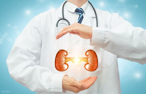 �����ܳԴ�г�������