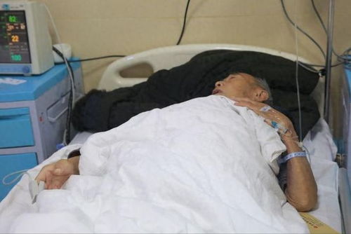 东方驱魔人_东方魔人集团头目 东方驱魔人_东方魔人集团头目