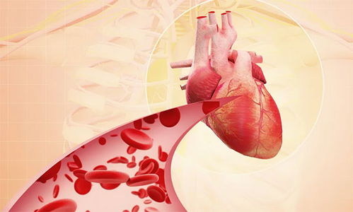 769���� 769���������ô���