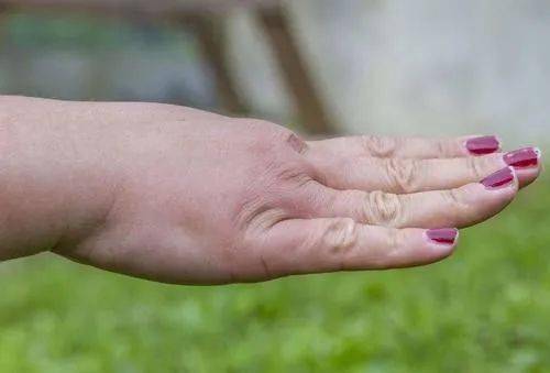 电视剧婚姻时差演员表 电视剧婚姻时差演员表