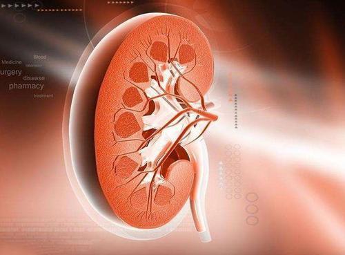 1型糖尿病谨防4种并发症 需做好防治 1型糖尿病谨防4种并发症 需做好防治