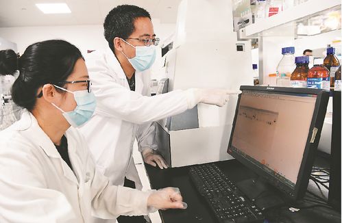 ��������Ӱ��̥������ ��ʳ����6��С����