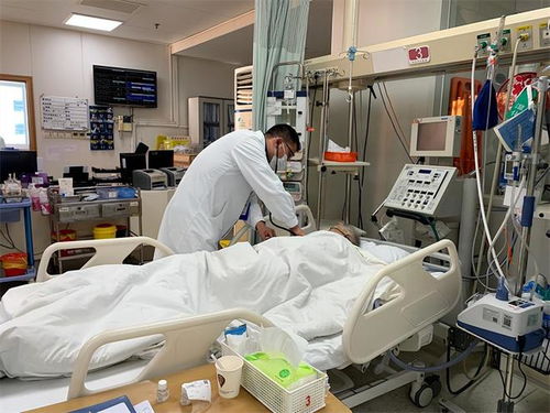 ���ֳ���������ϼ��