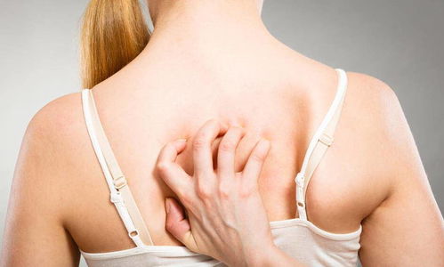 һ�����򲡵ļ��� һ������ ���