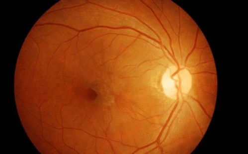 л�컪��������Ů��Ա