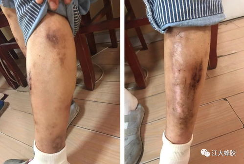 �����������ϼ���Ϲ�