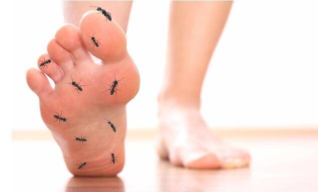 Ѫ���ǵ�����ѡ��