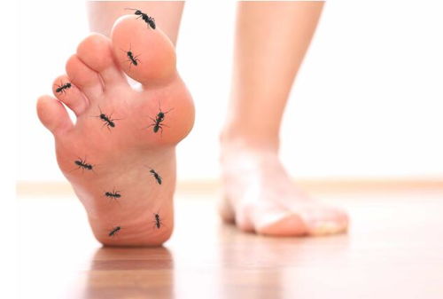 Ѫ����ֽ���� ע��������ܱ�֤׼ȷ��