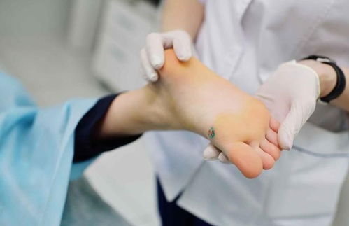 ��˵����������������