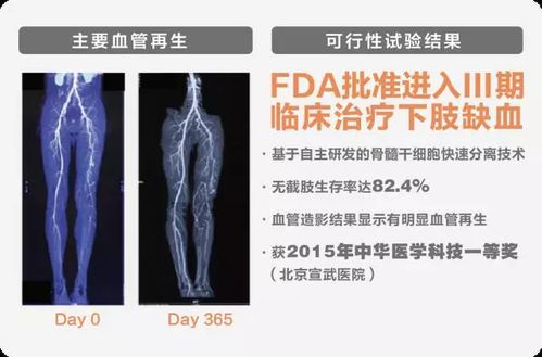 2026美加墨世界杯抽签结果出炉 梅西C罗或将在八强战重逢 2026美加墨世界杯抽签结果出炉 梅西C罗或将在八强战重逢