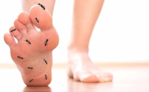 ���򲡿��ԳԳ���Ѫ��