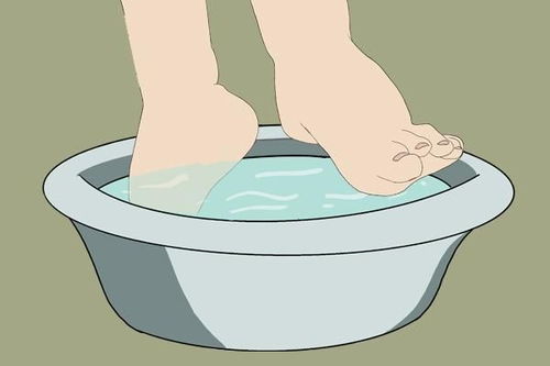 ����֮�صڶ������Ӿ�