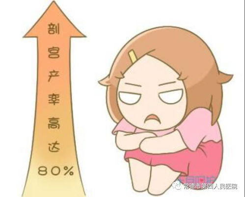 董卿的丈夫(董卿的老公) 董卿的丈夫(董卿的老公)