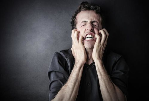 ��ī����С���� �й���׼����������