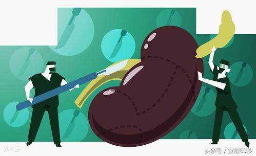 �������򲡷ǵ���֢״����� ����Ӧ����Ԥ��