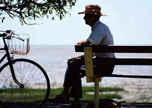 1�����򲡻�����ע�� �ļ����̫������