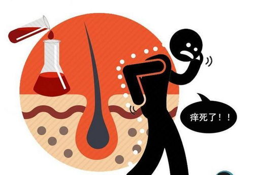 ʯ������ʯ����������˵����