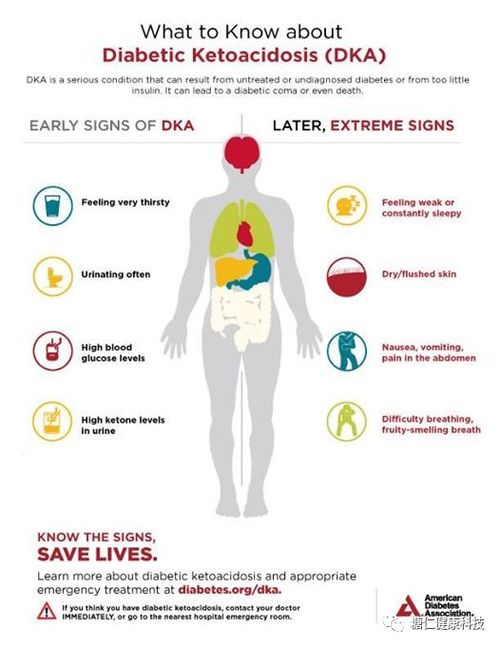 ��������������ϳ���