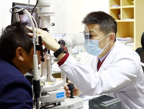 �������������� ���������̵��ھ綾��