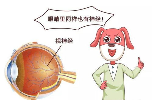 �������Ѹ��׻����� Ԥ����ע����ʳ