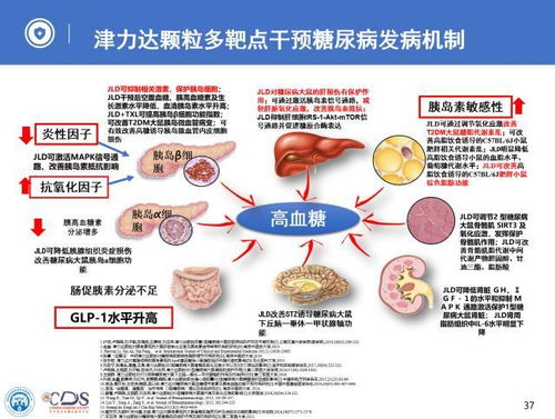 肝不好会导致糖尿病吗 肝不好会导致糖尿病吗
