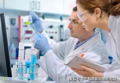 ������������ν�Ѫ�� �������򲡵�Σ������Щ 