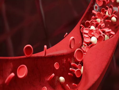 糖尿病及前期 糖尿病前期一定会发展成糖尿病吗 糖尿病及前期 糖尿病前期一定会发展成糖尿病吗