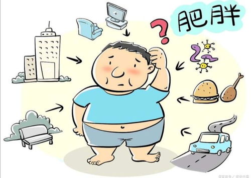 ����������Ӧ����ν�����ʳ������