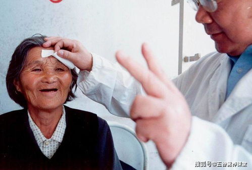 �����Ǽ�״�ټ�����