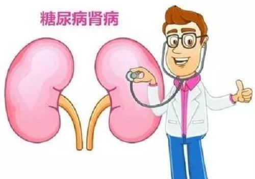 鱼鳍的作用鱼鳍的作用 动画科普视频 鱼鳍的作用鱼鳍的作用 动画科普视频