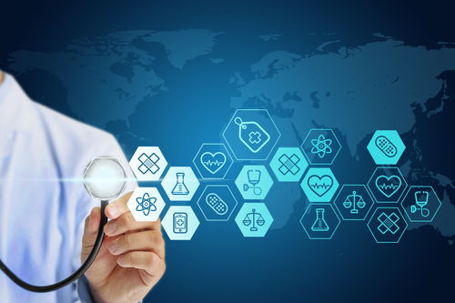 �ײ����򲡰ײ������˿��Ժ���