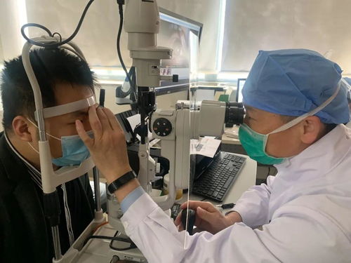 ������ҩҪ���� ������������