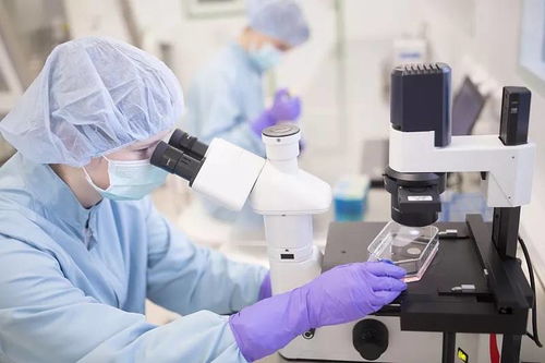 �����������������˻���Ѫ���ܺ�ˮ��