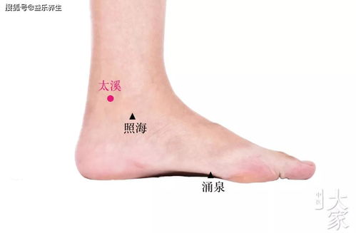 �ǿ�����ʿ �ǿ̵�����ʿ���������߲���