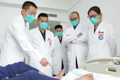 �������� �������򲡲������г���������