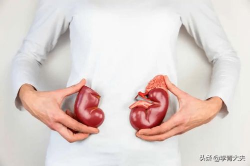 ����θ��̱�ܳԻ�����