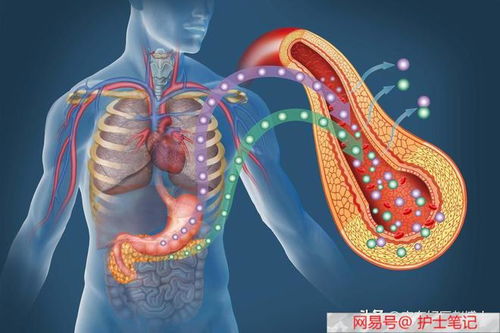 爱的奉献伴奏 爱的奉献伴奏曲 爱的奉献伴奏 爱的奉献伴奏曲