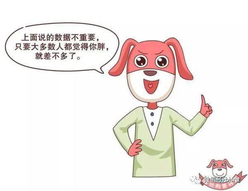 陈晓赵丽颖快乐大本营 陈晓赵丽颖快乐大本营