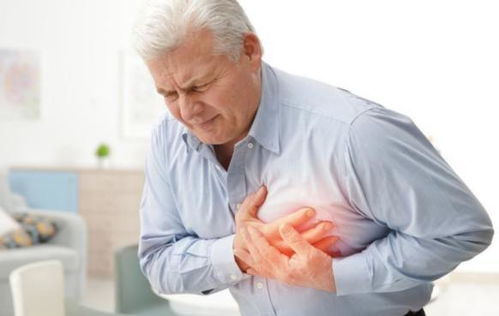 �����ɳ�_�����ɳ�Ӣ��